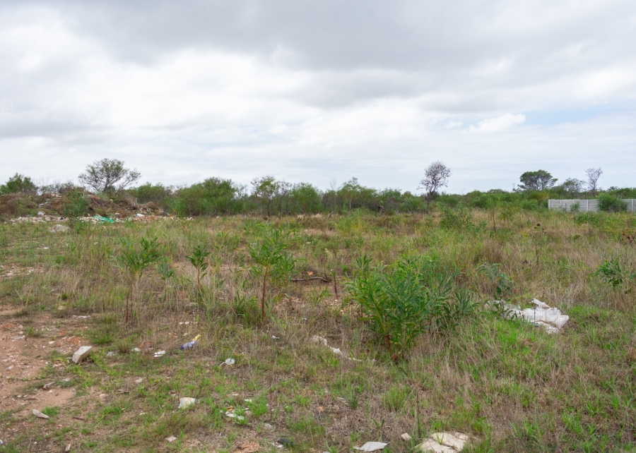 0 Bedroom Property for Sale in Fairview Eastern Cape